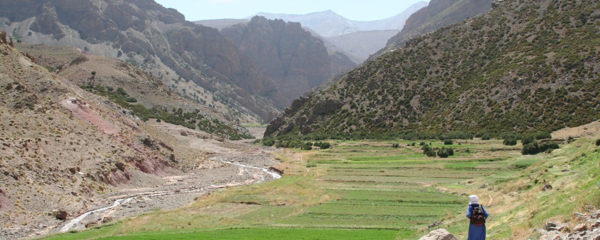 IMG 0100